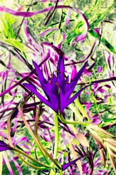 F 039B